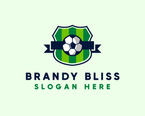 Soccer Sport League  logo design