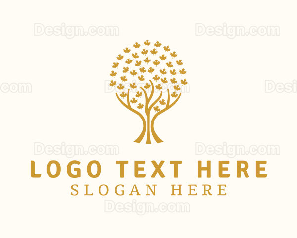 Gold Maple Leaf Tree Logo