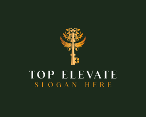 Elegant Key Wings logo design