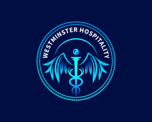 Healthcare Clinic Caduceus logo design