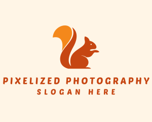 Animal Wildlife Squirrel logo design