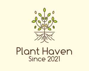 Minimalist Symmetric Plant logo design