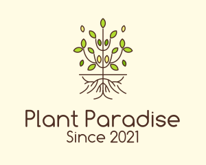 Minimalist Symmetric Plant logo design