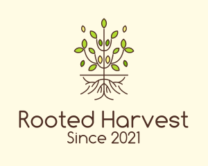 Minimalist Symmetric Plant logo design