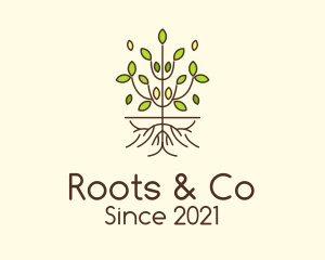 Minimalist Symmetric Plant logo