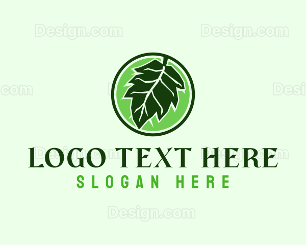 Eco Herbal Leaf Logo