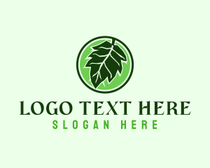 Eco Herbal Leaf Logo