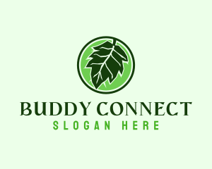 Eco Friendly Oak Leaf logo design