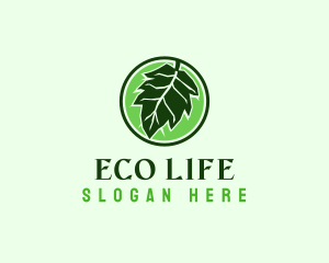 Eco Herbal Leaf logo design