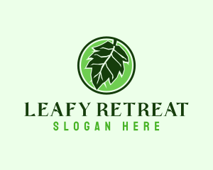 Eco Herbal Leaf logo design