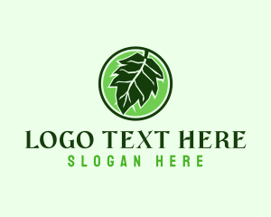 Eco Friendly Oak Leaf logo