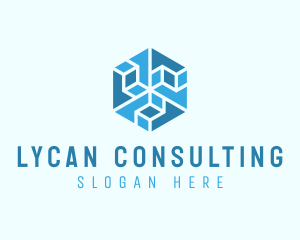 Blue Hexagon Construction logo design