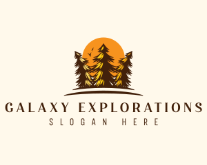 Pine Tree Forest logo design