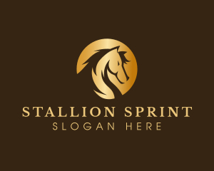 Horse Bronco Stallion logo design