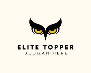 Night Owl Bird logo design