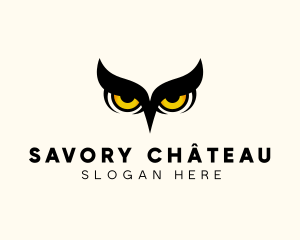 Night Owl Bird logo design