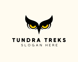 Night Owl Bird logo design