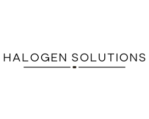 Modern Business Professional logo design