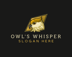 Night Owl Bird logo