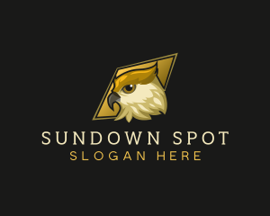Night Owl Bird logo