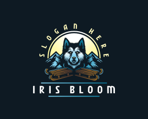 Husky Sled Dog logo design