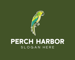 Green Parrot Bird logo