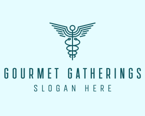 Medical Healthcare Caduceus logo design