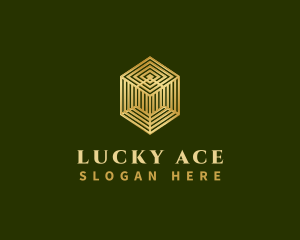 Luxury Geometric Cube  logo design