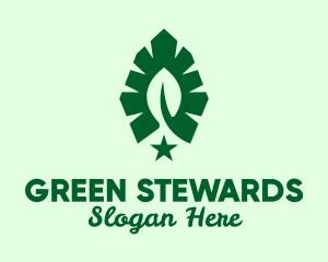 Green Leaf Star  logo design