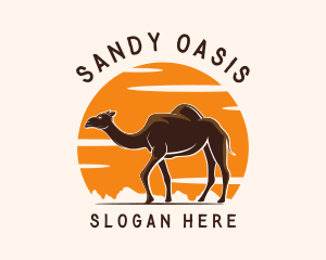 Sunset Desert Camel logo design