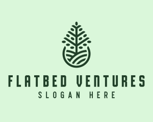 Seedling Tree Plant logo design