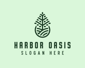 Seedling Tree Plant logo design