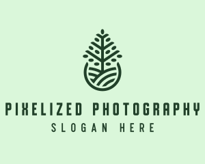 Seedling Tree Plant logo design