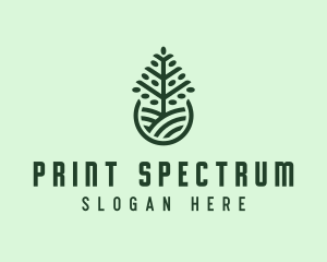 Seedling Tree Plant logo design