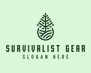 Seedling Tree Plant logo design