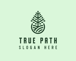 Seedling Tree Plant logo design