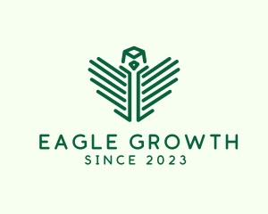 Eagle Head Wings logo design