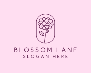 Natural Flower Daisy logo design