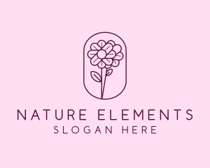 Natural Flower Daisy logo design