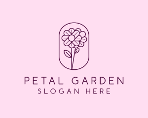 Natural Flower Daisy logo design