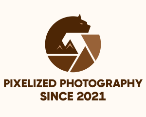 Bear Mountain Camera logo design