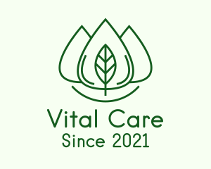 Essential Oil Leaf logo