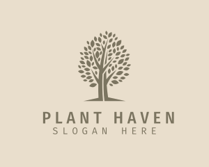 Eco Tree Plant logo design