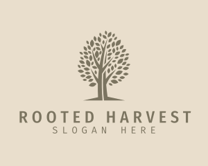 Eco Tree Plant logo design