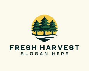 Pine Tree Forest logo design