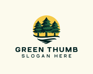 Pine Tree Forest logo design