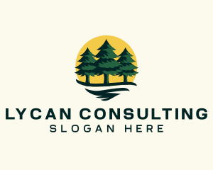 Pine Tree Forest logo design