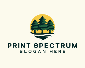 Pine Tree Forest logo design