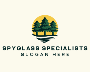 Pine Tree Forest logo design