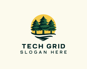 Pine Tree Forest logo design